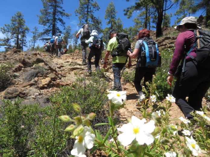 SENDERISMO DEPORVIDA